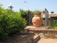 IMG_5601