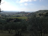 IMG_0388