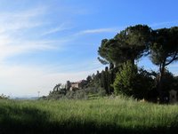 IMG_6121