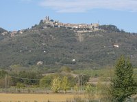 Luciano