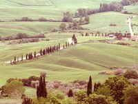 IMG_5845